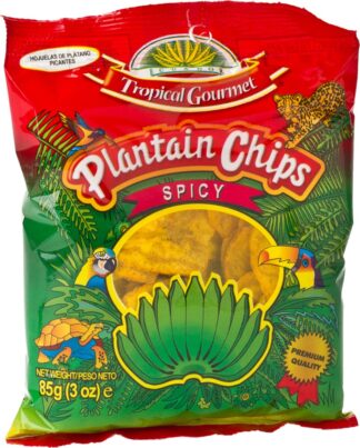 TG Spicy Plantain Chips 85gr