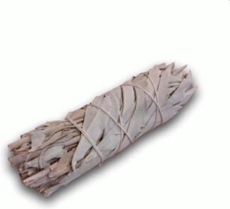 Witte Salie - White Saga Smudge stick 10cm